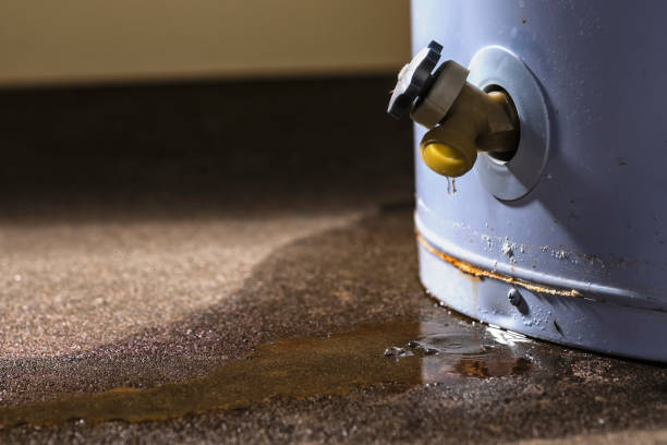 Best Water damage restoration near me  in Franklin Rk, PA
