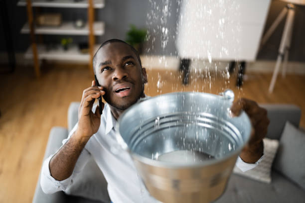 Best Basement water damage restoration  in Franklin Rk, PA