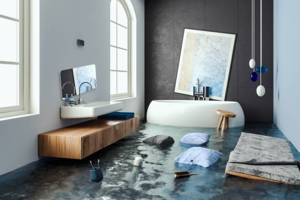 Best Professional water damage repair  in Franklin Rk, PA