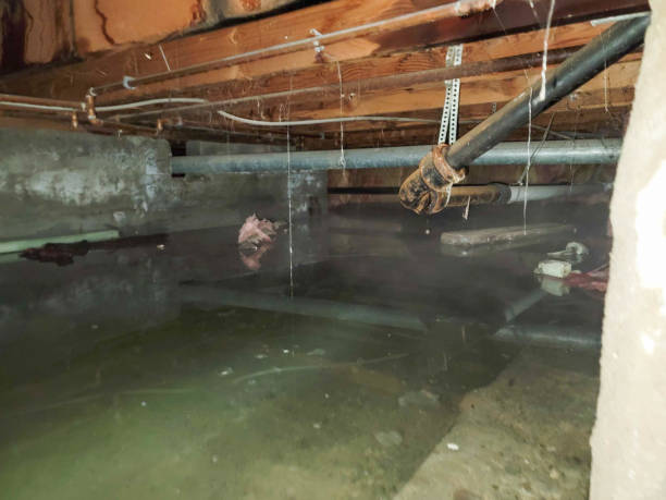 Best Water damage contractors near me  in Franklin Rk, PA