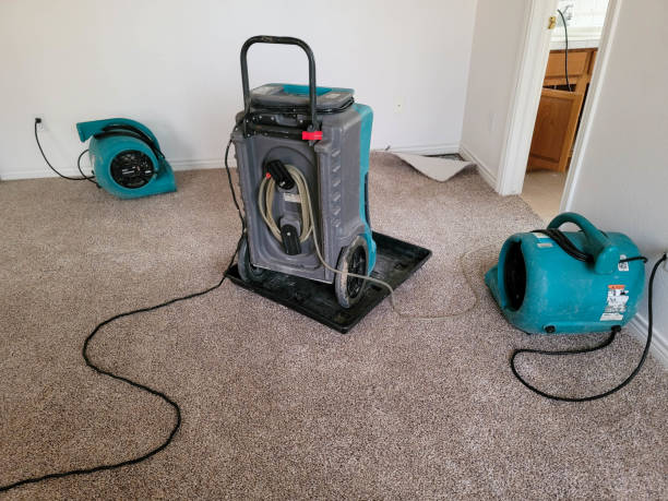 Best 24/7 water damage repair  in Franklin Rk, PA