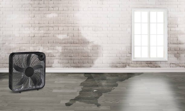 Water damage restoration experts in Franklin Park, PA