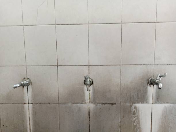 Best Ceiling water damage repair  in Franklin Rk, PA