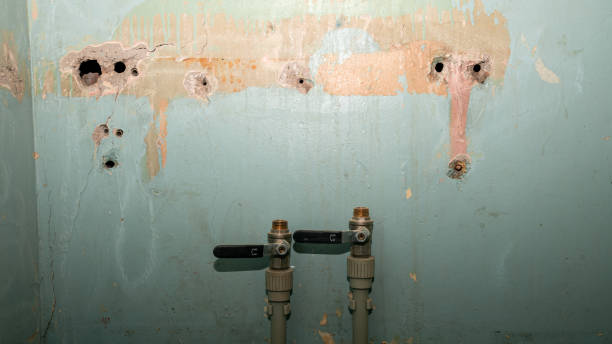 Best 24/7 water damage repair  in Franklin Rk, PA