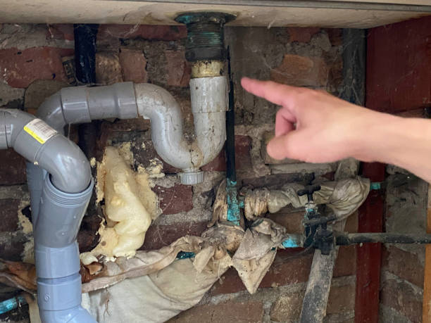 Best 24-hour water damage restoration  in Franklin Rk, PA