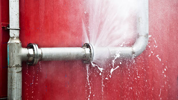 Best Local water damage restoration  in Franklin Rk, PA